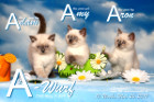 Unser A2-Wurf ist 10 Wochen alt ( 26.05.2019 )