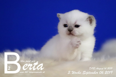 Berta ist 3 Wochen alt ( 06.09.2019 )