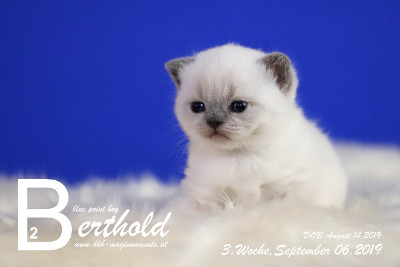 Berthold ist 3 Wochen alt ( 06.09.2019 )
