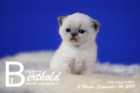 Berthold ist 3 Wochen alt ( 06.09.2019 )
