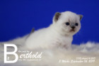 Berthold ist 3 Wochen alt ( 06.09.2019 )