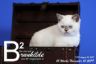 Brunhilde ist 12 Wochen alt ( 10.11.2019 )
