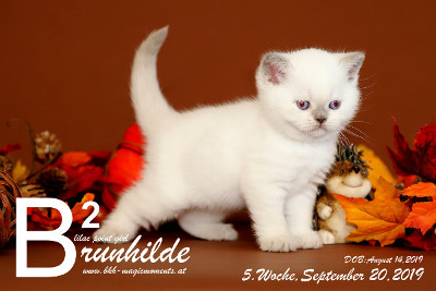 Brunhilde ist 5 Wochen alt ( 20.09.2019 )