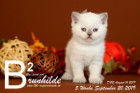 Brunhilde ist 5 Wochen alt ( 20.09.2019 )