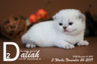Daliah ist 3 Wochen alt ( 24.11.2019 )