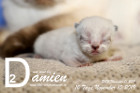Damien ist 10 Tage alt ( 10.11.2019 )