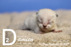 Damien ist 10 Tage alt ( 10.11.2019 )