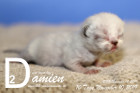 Damien ist 10 Tage alt ( 10.11.2019 )