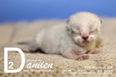 Damien ist 10 Tage alt ( 10.11.2019 )