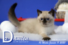 Damien ist 10 Wochen alt ( 11.01.2020 )