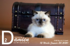 Damien ist 12 Wochen alt ( 24.01.2020 )