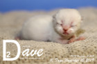 Dave ist 10 Tage alt ( 10.11.2019 )