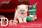 Dave ist 5 Wochen alt ( 06.12.2019 )