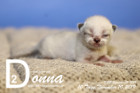 Donna ist 10 Tage alt ( 10.11.2019 )
