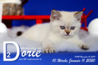 Dorie ist 10 Wochen alt ( 11.01.2020 )