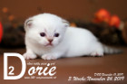 Dorie ist 3 Wochen alt ( 24.11.2019 )