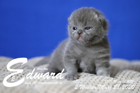 Edward ist 2 Wochen alt ( 28.03.2020 )