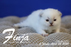 Finja ist 2 Wochen alt ( 22.04.2020 )