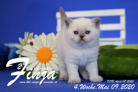 Finja ist 4 Wochen alt ( 09.05.2020 )