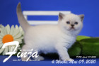 Finja ist 4 Wochen alt ( 09.05.2020 )