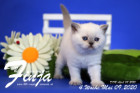 Finja ist 4 Wochen alt ( 09.05.2020 )