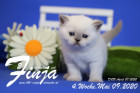 Finja ist 4 Wochen alt ( 09.05.2020 )