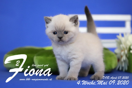 Fiona ist 4 Wochen alt ( 09.05.2020 )