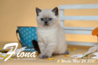 Fiona ist 6 Wochen alt ( 24.05.2020 )