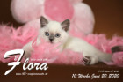 Flora ist 10 Wochen alt ( 20.06.2020 )