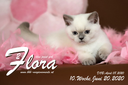 Flora ist 10 Wochen alt ( 20.06.2020 )