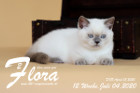 Flora ist 12 Wochen alt ( 04.07.2020 )