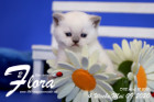 Flora ist 4 Wochen alt ( 09.05.2020 )