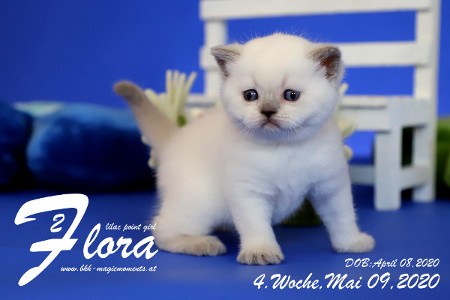 Flora ist 4 Wochen alt ( 09.05.2020 )