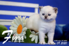 Flora ist 4 Wochen alt ( 09.05.2020 )