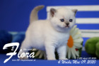 Flora ist 4 Wochen alt ( 09.05.2020 )