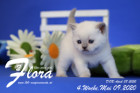 Flora ist 4 Wochen alt ( 09.05.2020 )