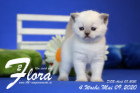 Flora ist 4 Wochen alt ( 09.05.2020 )