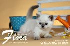 Flora ist 6 Wochen alt ( 24.05.2020 )