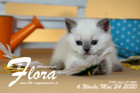 Flora ist 6 Wochen alt ( 24.05.2020 )