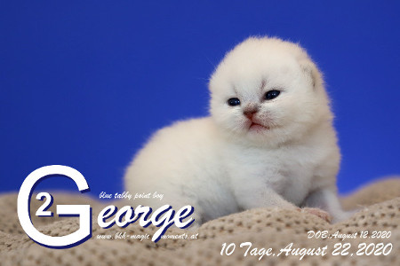 George ist 10 Tage alt ( 22.08.2020 )