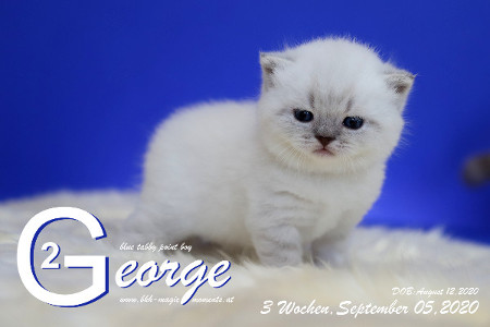 George ist 3 Wochen alt ( 05.09.2020 )