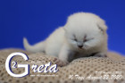 Greta ist 10 Tage alt ( 22.08.2020 )