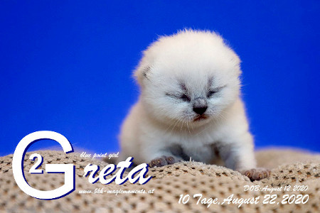 Greta ist 10 Tage alt ( 22.08.2020 )