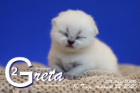 Greta ist 10 Tage alt ( 22.08.2020 )