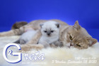 Greta ist 3 Wochen alt ( 05.09.2020 )