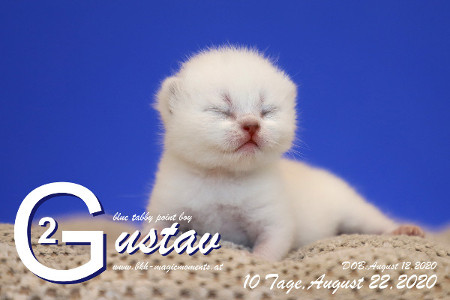 Gustav ist 10 Tage alt ( 22.08.2020 )