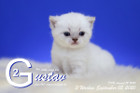 Gustav ist 3 Wochen alt ( 05.09.2020 )