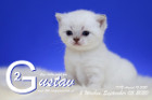 Gustav ist 3 Wochen alt ( 05.09.2020 )