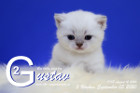 Gustav ist 3 Wochen alt ( 05.09.2020 )