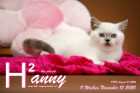 Hanny ist 11 Wochen alt ( 15.11.2020 )